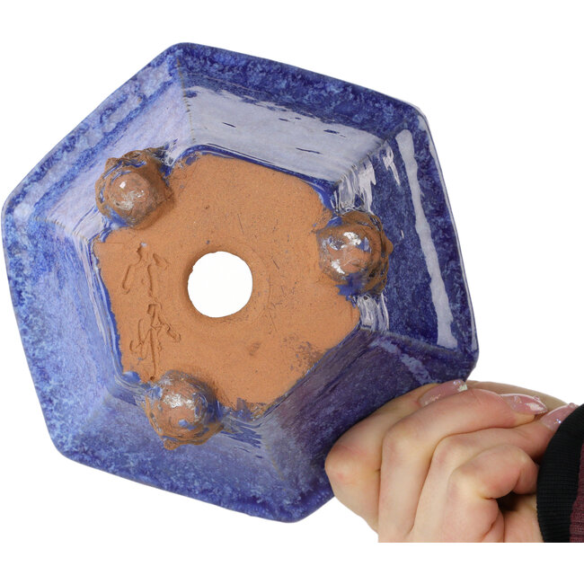 Pot à bonsaï hexagonal bleu de Shuhou - 177 x 177 x 100 mm