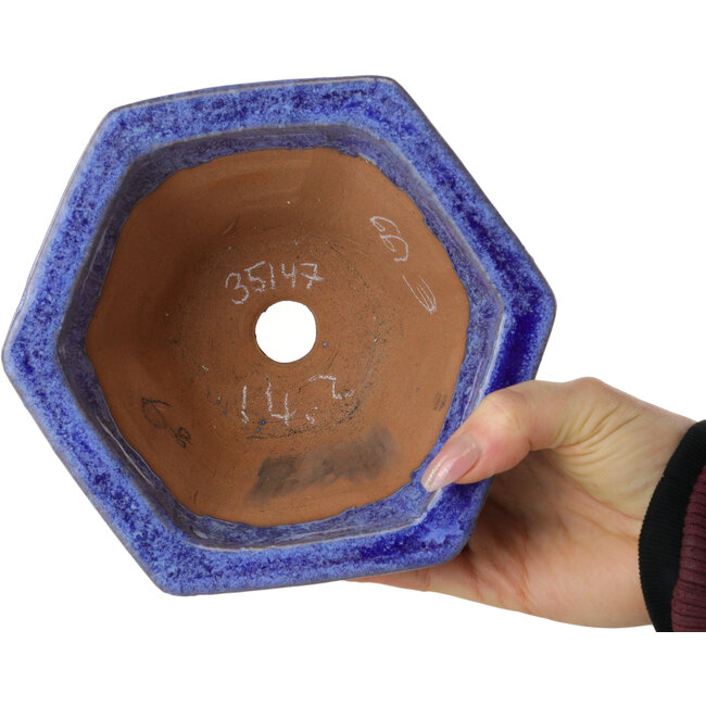 Vaso bonsai esagonale blu di Shuhou - 177 x 177 x 100 mm