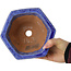 Hexagonal blue bonsai pot by Shuhou - 177 x 177 x 100 mm