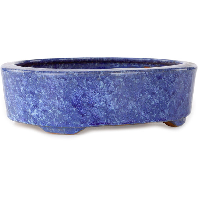 Pot ovale bleu pour bonsaï de Shuhou - 189 x 157 x 55 mm