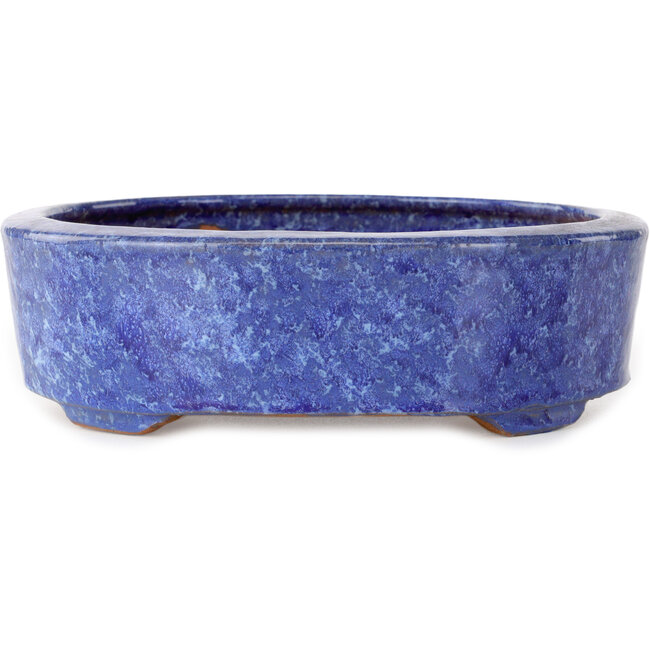 Ovaler blauer Bonsai-Topf von Shuhou – 189 x 157 x 55 mm
