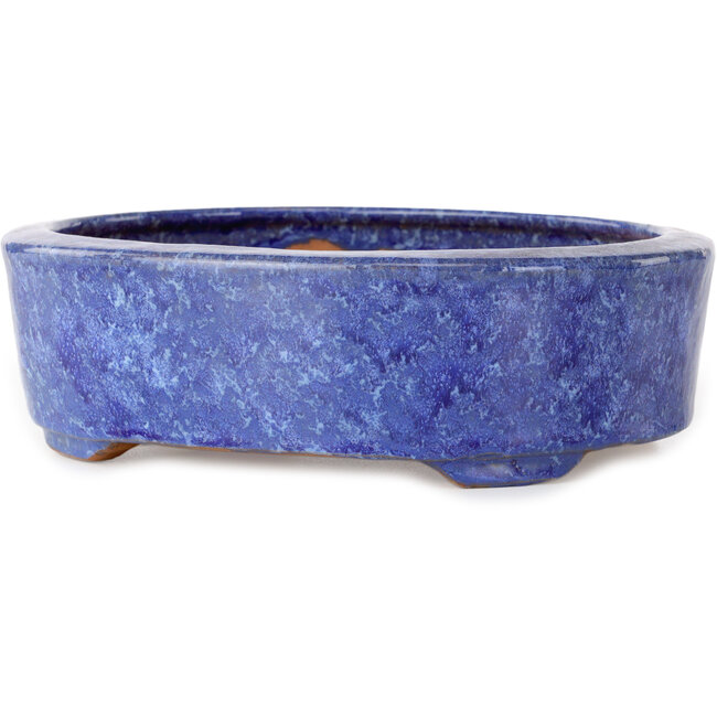 Vaso bonsai ovale blu di Shuhou - 189 x 157 x 55 mm