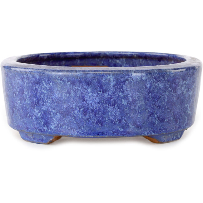 Oval blue bonsai pot by Shuhou - 189 x 157 x 55 mm