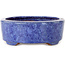 Vaso bonsai ovale blu di Shuhou - 189 x 157 x 55 mm