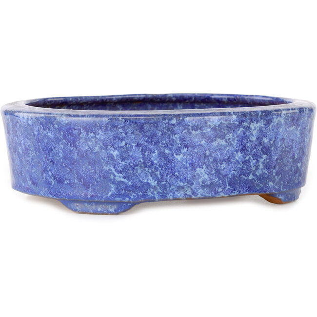 Vaso bonsai ovale blu di Shuhou - 189 x 157 x 55 mm