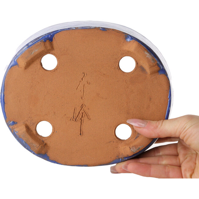 Pot ovale bleu pour bonsaï de Shuhou - 189 x 157 x 55 mm