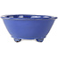 Oval blue bonsai pot by Shuhou - 193 x 193 x 83 mm