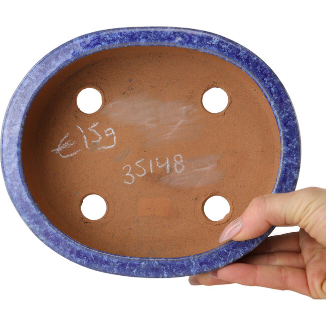Vaso bonsai ovale blu di Shuhou - 189 x 157 x 55 mm