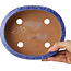 Pot ovale bleu pour bonsaï de Shuhou - 189 x 157 x 55 mm