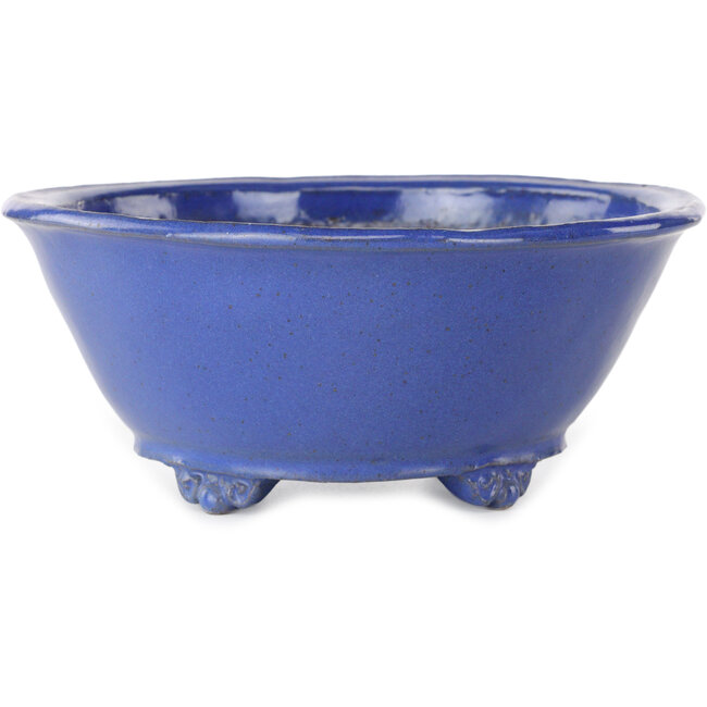 Pot ovale bleu pour bonsaï de Shuhou - 193 x 193 x 83 mm