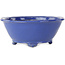 Pot ovale bleu pour bonsaï de Shuhou - 193 x 193 x 83 mm