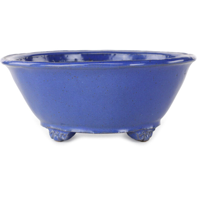 Pot ovale bleu pour bonsaï de Shuhou - 193 x 193 x 83 mm