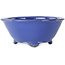 Ovale blauwe bonsaipot van Shuhou - 193 x 193 x 83 mm