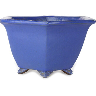  Shuuhou (Hidemi Kataoka) Pot à bonsaï hexagonal bleu de 240 mm de diamètre, par Shuhou, Tokoname, Japon