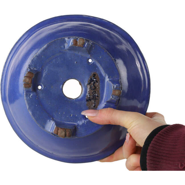 Ovale blauwe bonsaipot van Shuhou - 193 x 193 x 83 mm