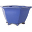 Maceta hexagonal azul para bonsái de Shuhou - 240 x 240 x 130 mm