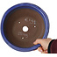 Maceta ovalada azul para bonsái de Shuhou - 193 x 193 x 83 mm