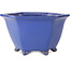 Pot à bonsaï hexagonal bleu de Shuhou - 240 x 240 x 130 mm