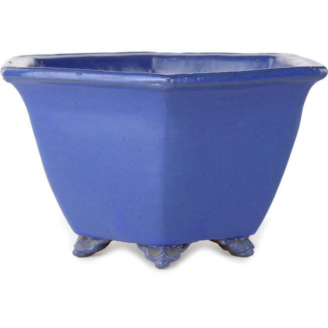 Vaso bonsai esagonale blu di Shuhou - 240 x 240 x 130 mm