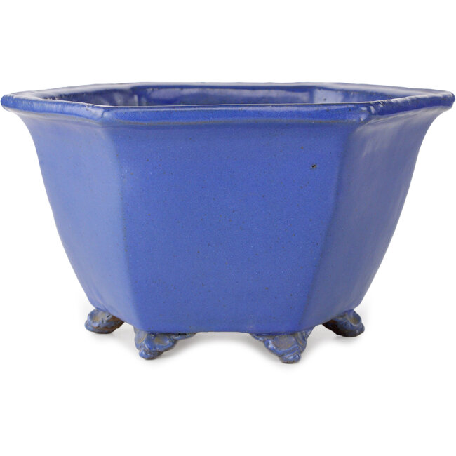Pot à bonsaï hexagonal bleu de Shuhou - 240 x 240 x 130 mm