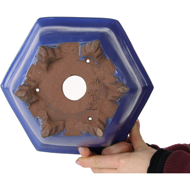 Hexagonal blue bonsai pot by Shuhou - 240 x 240 x 130 mm
