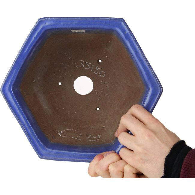 Maceta hexagonal azul para bonsái de Shuhou - 240 x 240 x 130 mm