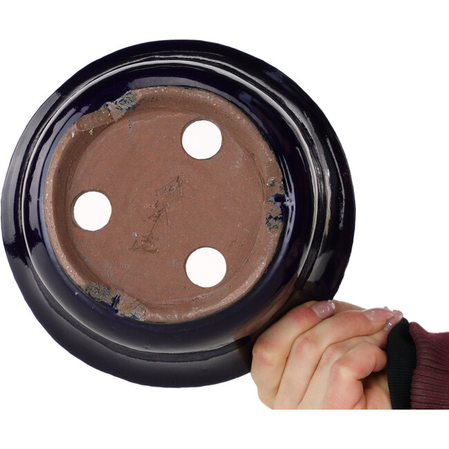 Maceta redonda para bonsái azul oscuro de Shuhou - 195 x 195 x 92 mm