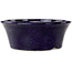 Maceta redonda para bonsái azul oscuro de Shuhou - 185 x 185 x 70 mm