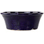 Runder, dunkelblauer Bonsai-Topf von Shuhou – 185 x 185 x 70 mm