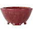 Pot à bonsaï rond rose de Shuhou - 150 x 150 x 80 mm