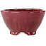 Maceta redonda para bonsái color burdeos de Shuhou - 150 x 150 x 80 mm