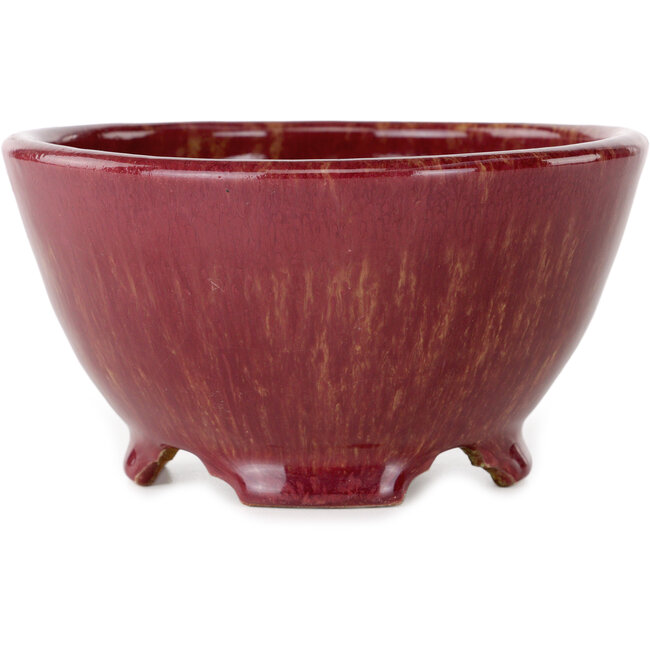 Pot à bonsaï rond bordeaux de Shuhou - 150 x 150 x 80 mm