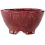 Vaso bonsai rotondo color bordeaux di Shuhou - 150 x 150 x 80 mm