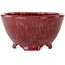 Vaso bonsai rotondo color bordeaux di Shuhou - 150 x 150 x 80 mm