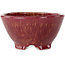 Vaso bonsai rotondo color bordeaux di Shuhou - 150 x 150 x 80 mm