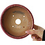 Maceta redonda rosa para bonsái de Shuhou - 150 x 150 x 80 mm