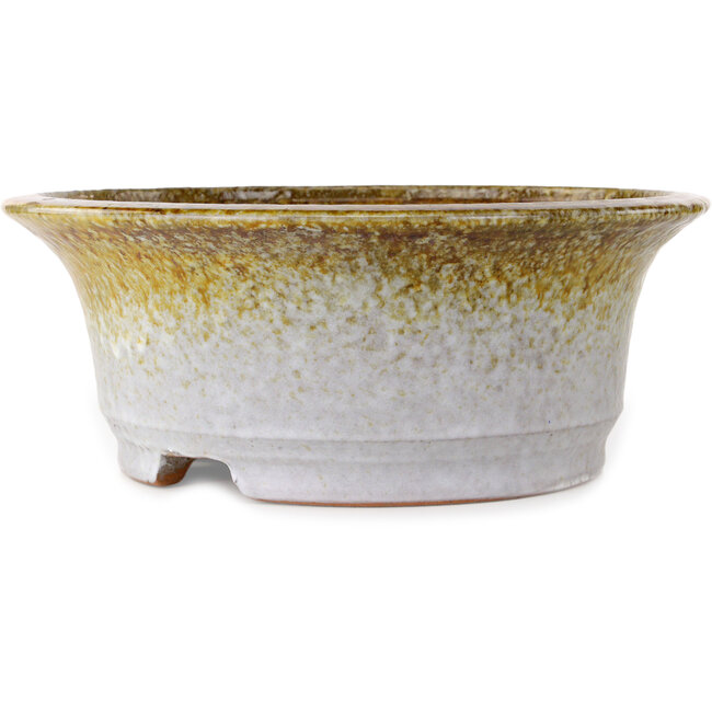 Round white and brown bonsai pot by Shuhou - 310 x 310 x 122 mm
