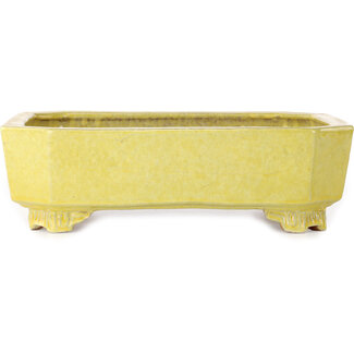 Shuuhou (Hidemi Kataoka) Pot à bonsaï rectangulaire jaune de 285 mm, de Shuhou, Tokoname, Japon