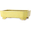 Rectangular yellow bonsai pot by Shuhou - 285 x 217 x 85 mm