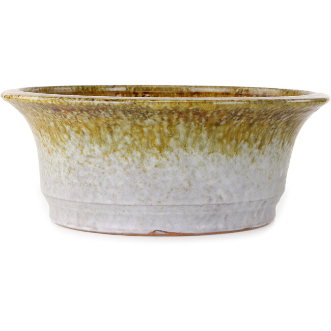 Maceta redonda para bonsái blanca y marrón de Shuhou - 310 x 310 x 122 mm