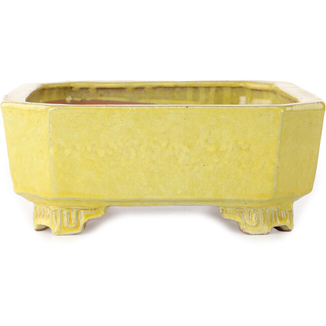 Pot à bonsaï rectangulaire jaune de Shuhou - 285 x 217 x 85 mm