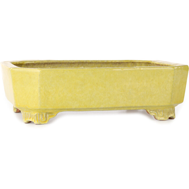 Maceta rectangular amarilla para bonsái de Shuhou - 285 x 217 x 85 mm