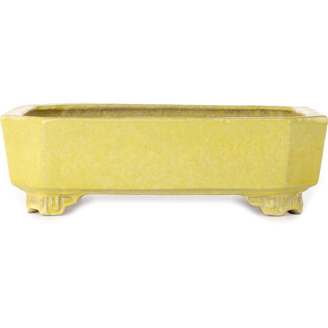 Pot à bonsaï rectangulaire jaune de Shuhou - 285 x 217 x 85 mm