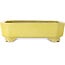 Pot à bonsaï rectangulaire jaune de Shuhou - 285 x 217 x 85 mm