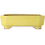 Vaso bonsai rettangolare giallo di Shuhou - 285 x 217 x 85 mm