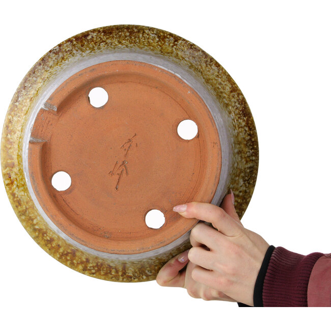 Round white and brown bonsai pot by Shuhou - 310 x 310 x 122 mm
