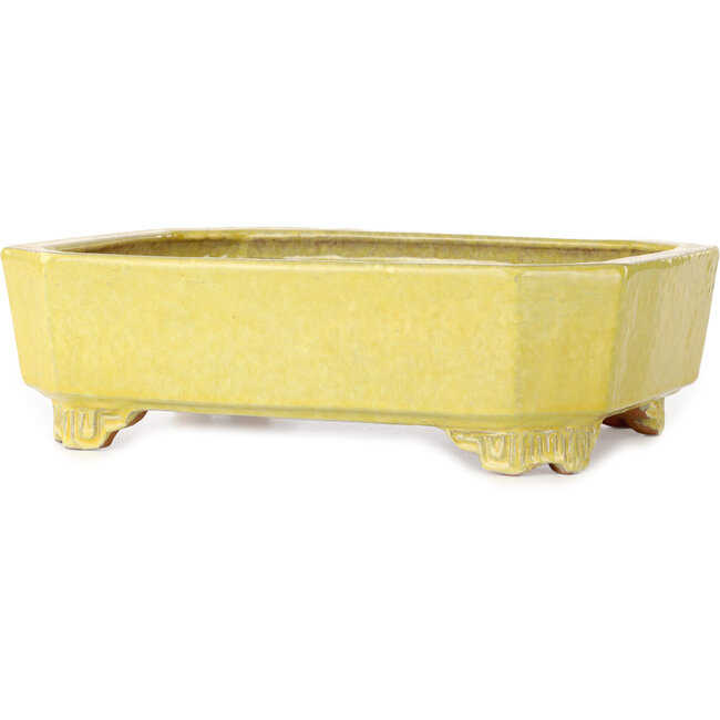 Vaso bonsai rettangolare giallo di Shuhou - 285 x 217 x 85 mm