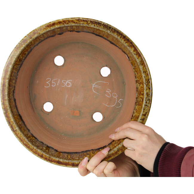 Round white and brown bonsai pot by Shuhou - 310 x 310 x 122 mm