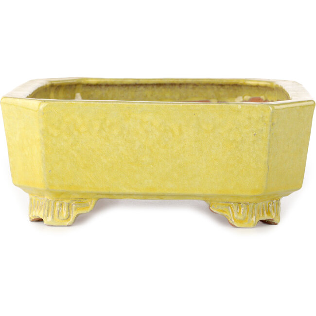 Vaso bonsai rettangolare giallo di Shuhou - 285 x 217 x 85 mm