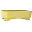 Pot à bonsaï rectangulaire jaune de Shuhou - 285 x 217 x 85 mm
